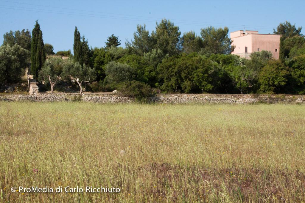 Masseria Moresano Bed and Breakfast Ugento Habitación foto